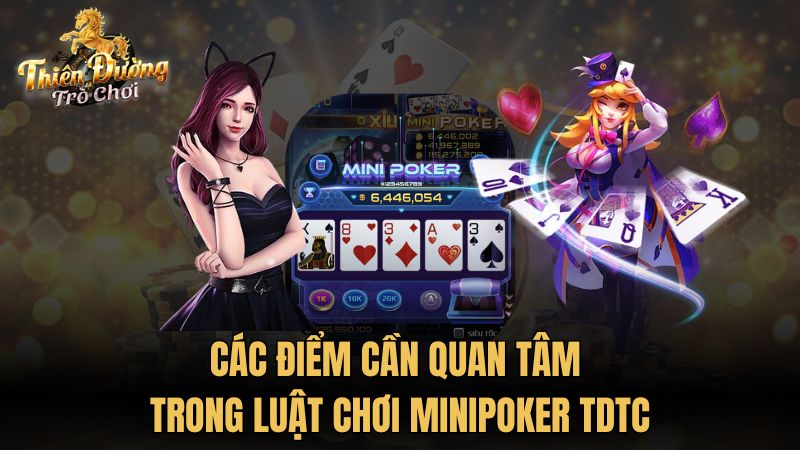 Các điểm cần quan tâm trong luật chơi minipoker TDTC