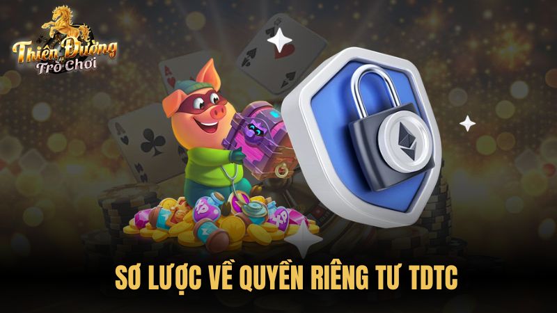 Sơ lược về quyền riêng tư TDTC