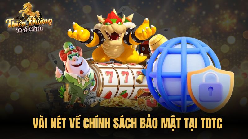 Vài nét về chính sách bảo mật tại TDTC