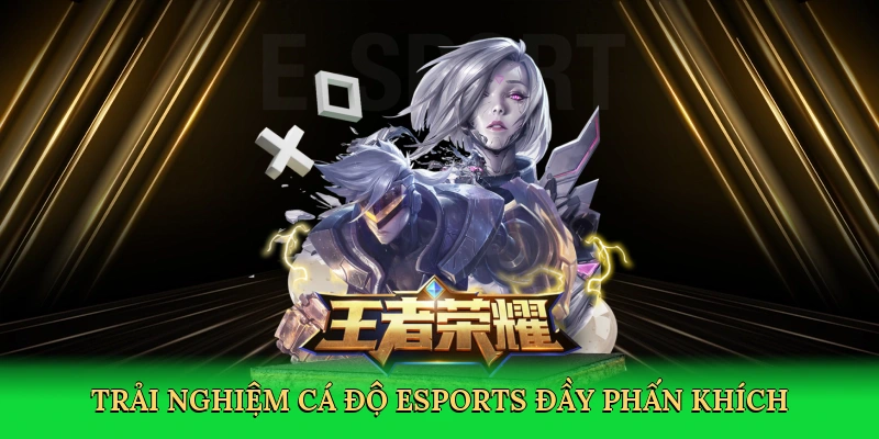 Trải nghiệm Cá độ Esports đầy phấn khích